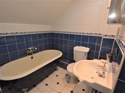 Picture 15